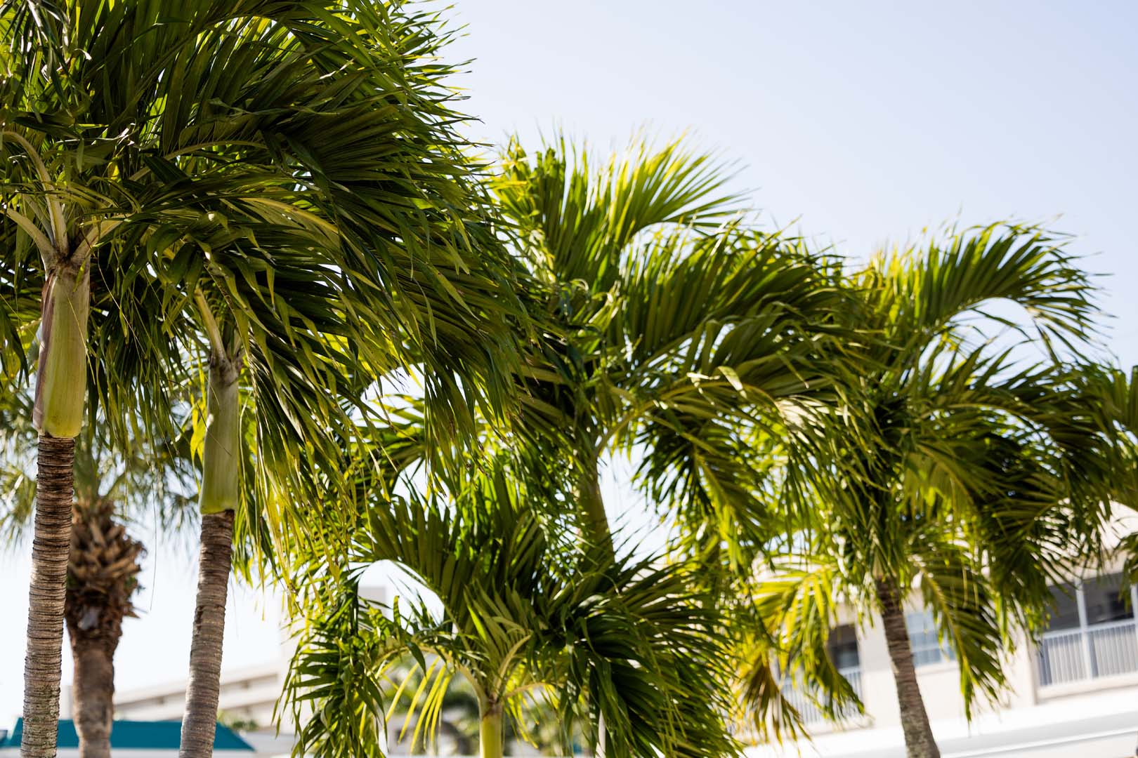 Compass Vacation Rentals